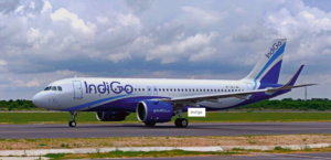 Indigo Hiring Project Manager | Apply Right Now