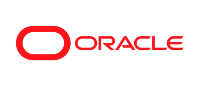 Oracle Consulting Project Technical Manager