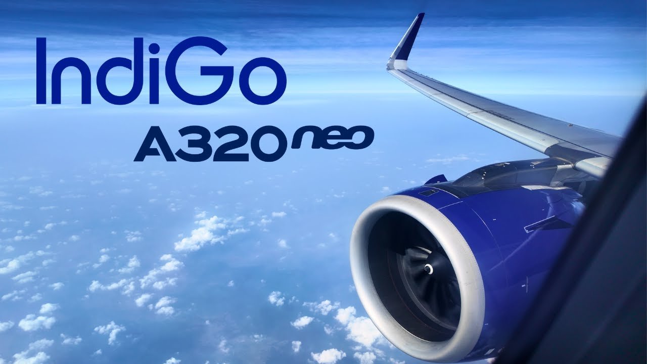 Indigo Customer Experience Executive