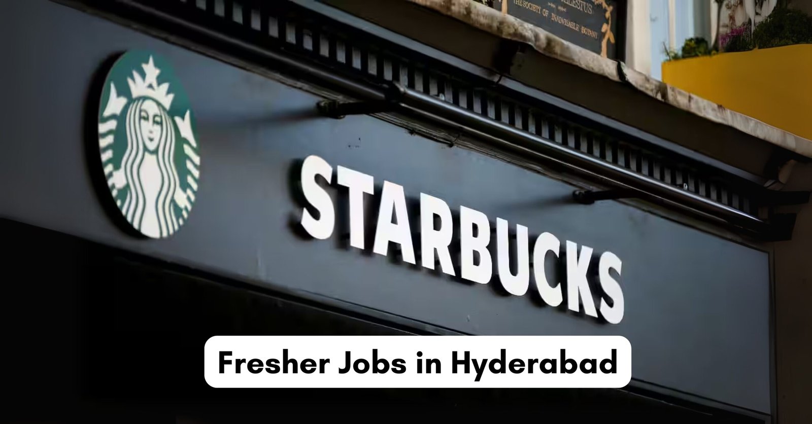 Starbucks Job Opportunity in Hyderabad | Freshers can apply!