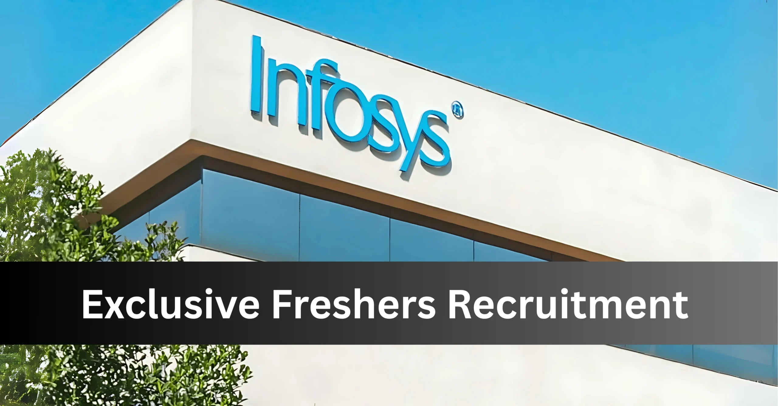 Infosys Walk-in Interview for Freshers in Bengaluru
